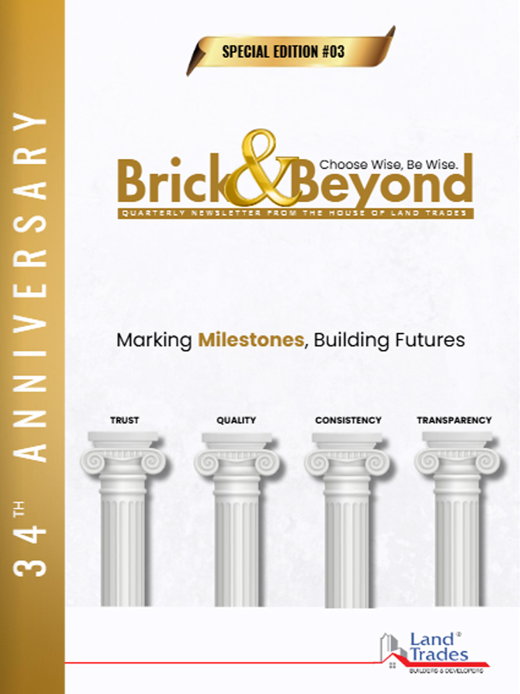 Brick and Beyond November Magazine